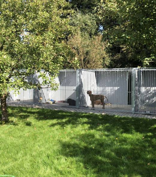 reihenhundezwingeranlage-kunststoff-auslaeufe-mit-rueckwaertigem-zuchtraum
