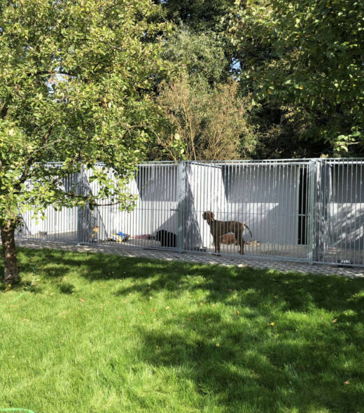 reihenhundezwingeranlage-kunststoff-auslaeufe-mit-rueckwaertigem-zuchtraum